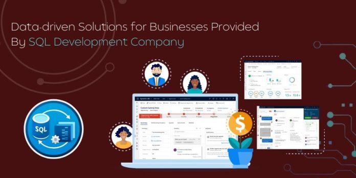 Data Driven Solutions for Businesses are Provided SQL Development Company