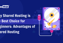 Why Shared Hosting is the Best Choice for Beginners: Advantages of Shared Hosting Why Shared Hosting is the Best Choice for Beginners: Advantages of Shared Hosting